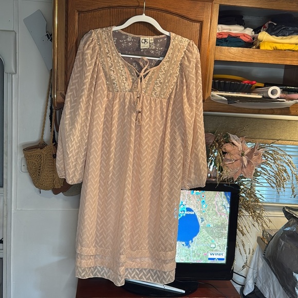 Anthropologie One September Elegant Pink Lace-Trimmed Dress SIZE L - Picture 7 of 13